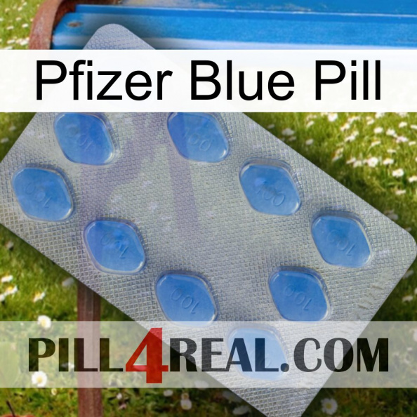 Pfizer Blue Pill 21.jpg